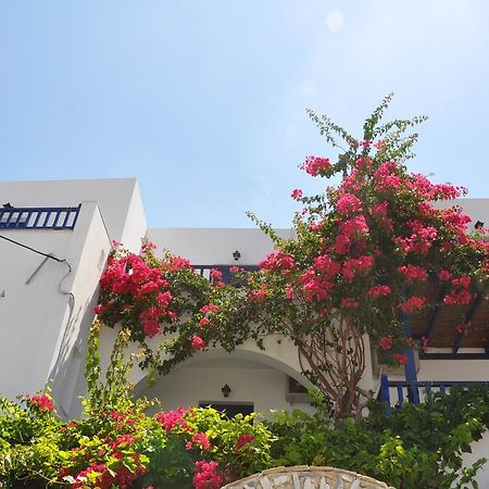 אגיאלי Nostos Studios חדר תמונה